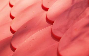 Iwerne Courtney Or Shroton plastic roof costs