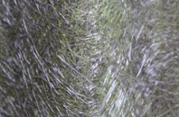 Iwerne Courtney Or Shroton fibreglass roof work